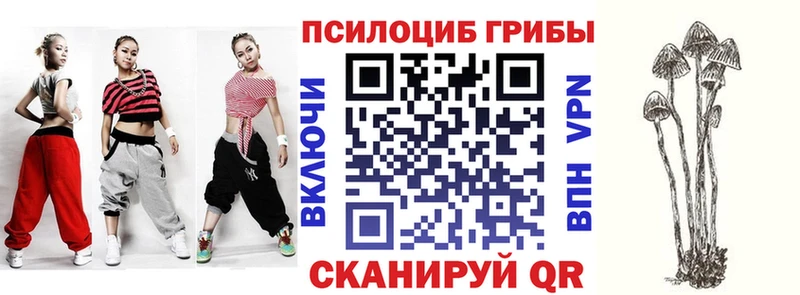 купить наркотик Фурманов Псилоцибиновые грибы мухоморы